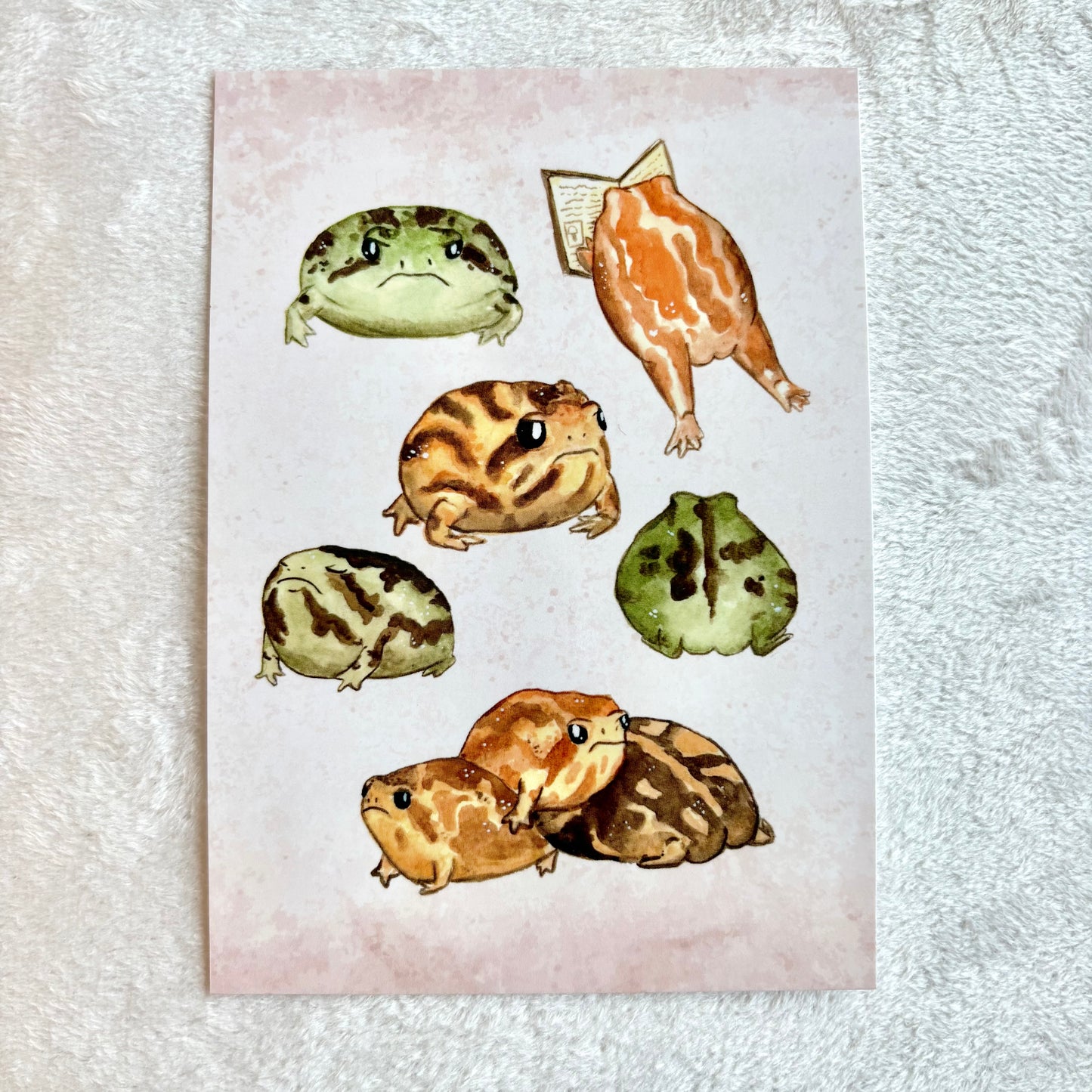 Potato frogs - postcard