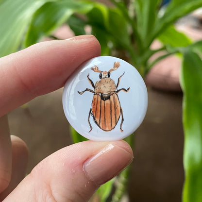 Maybeetle button