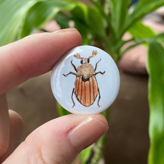 Maybeetle button