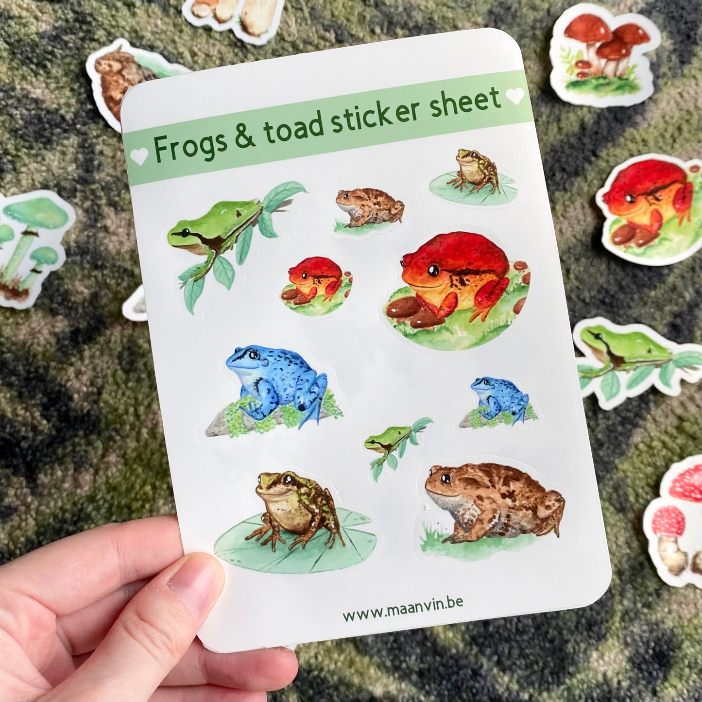 Frogs & toad sticker sheet