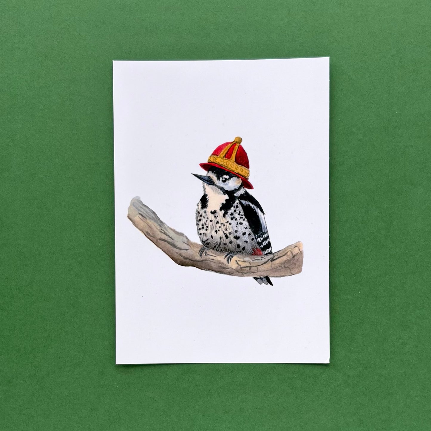 Spotted Woodpecker - Postcard