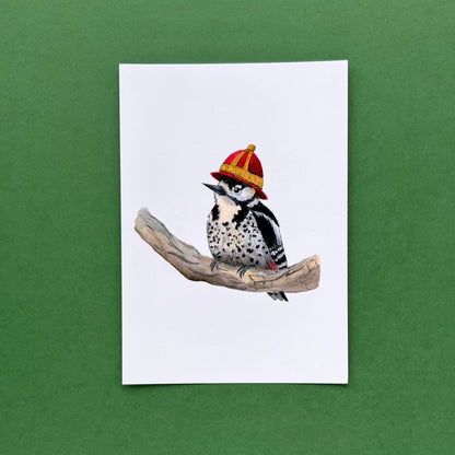 Spotted Woodpecker - Postcard