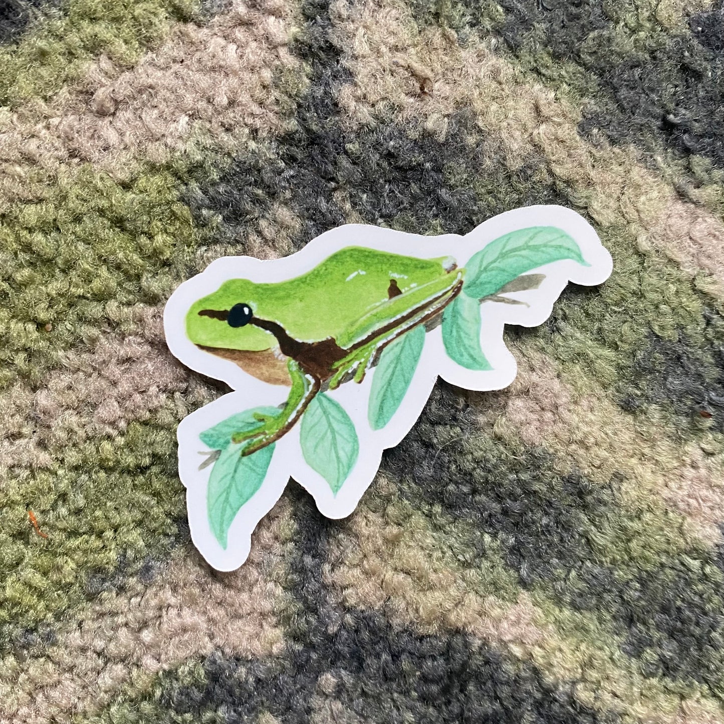 European tree frog sticker