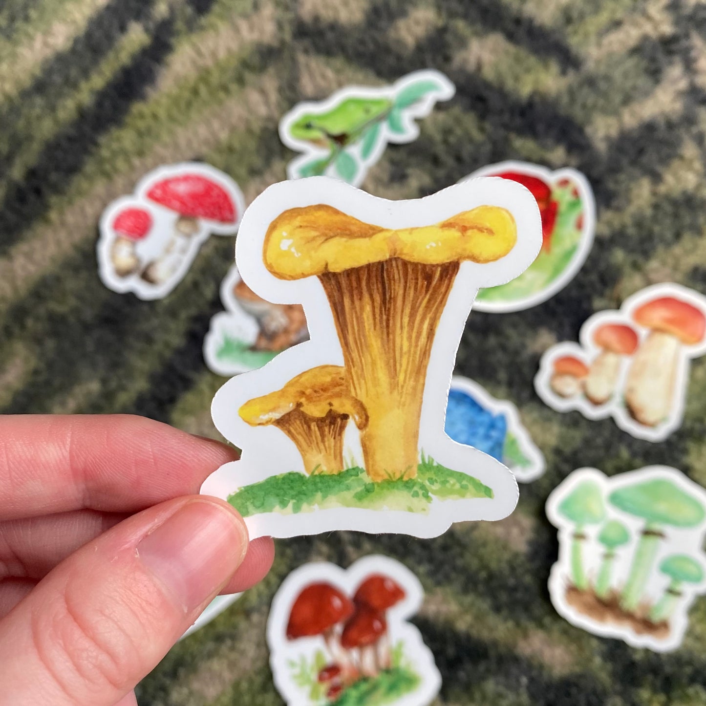 Chanterelle sticker