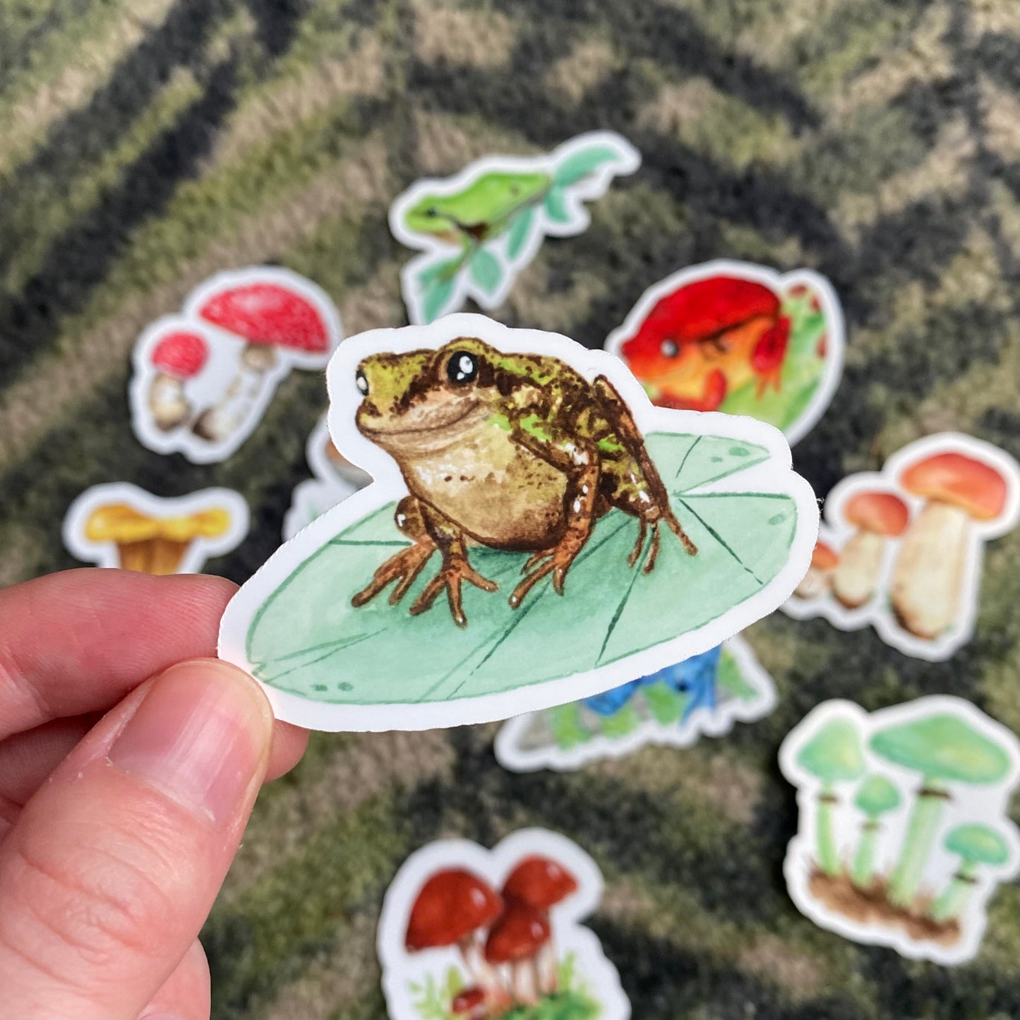 Common frog sticker