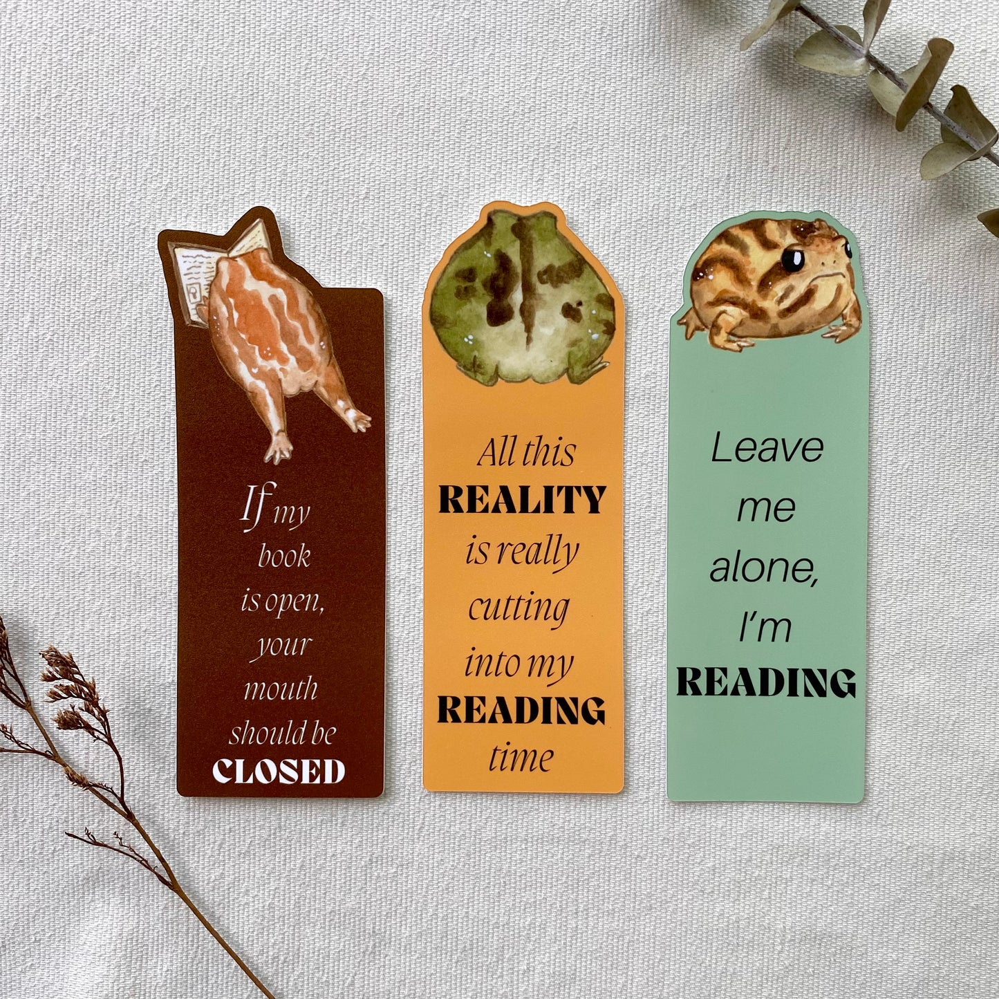 Rain frog bookmark set 3pc