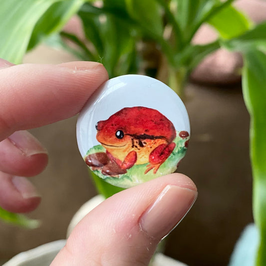Tomato frog button