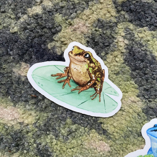 Common frog sticker