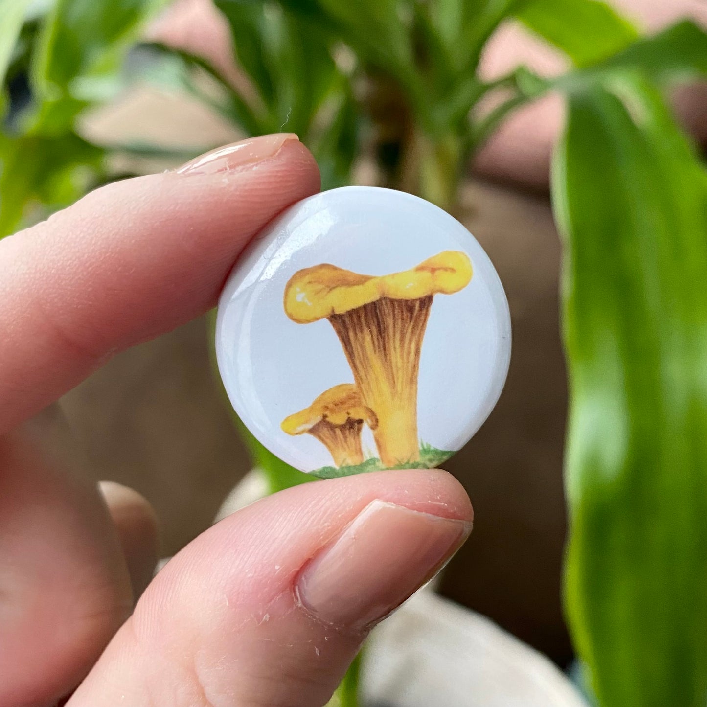 Chanterelle button