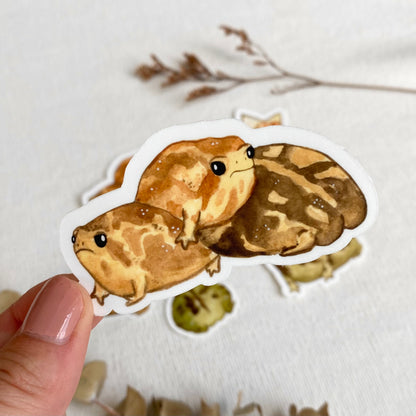 Rain frogs set 6pc, glossy stickers