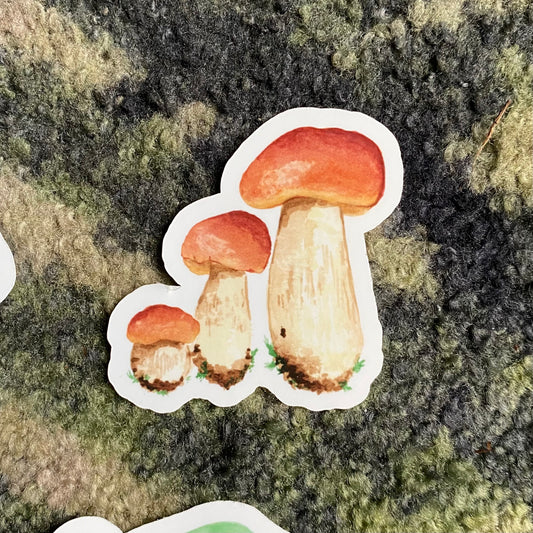 Cep mushroom sticker