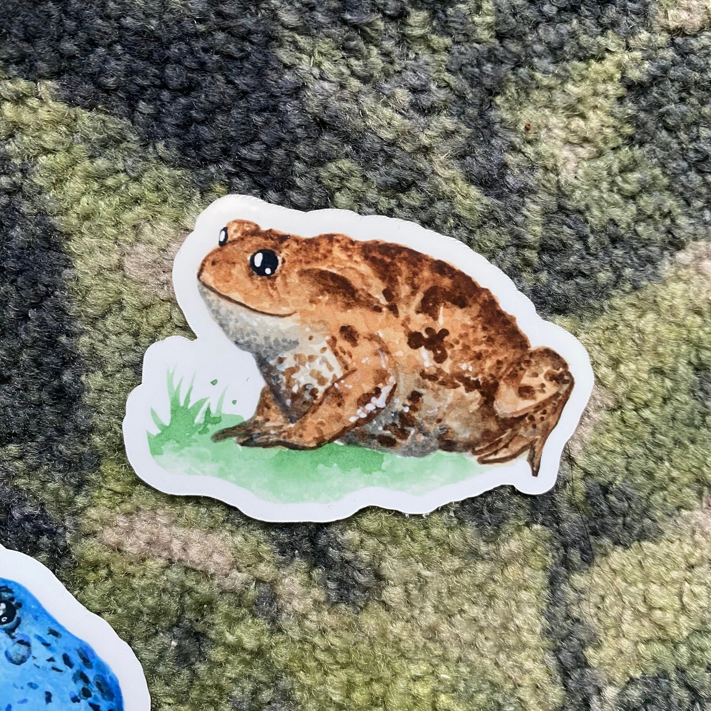 Common toad sticker