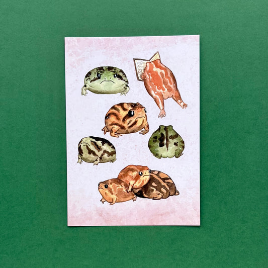 Rain frogs  - postcard