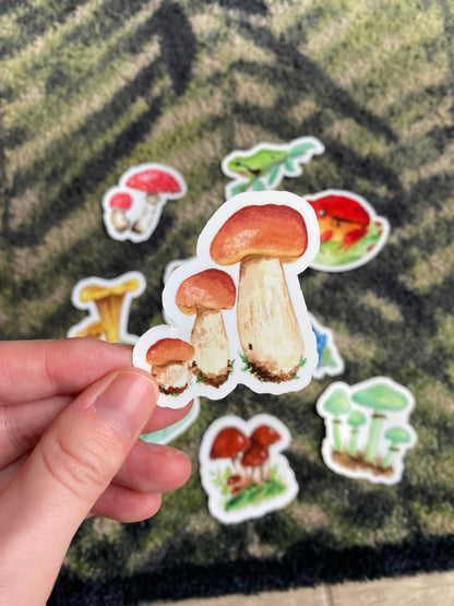 Cep mushroom sticker