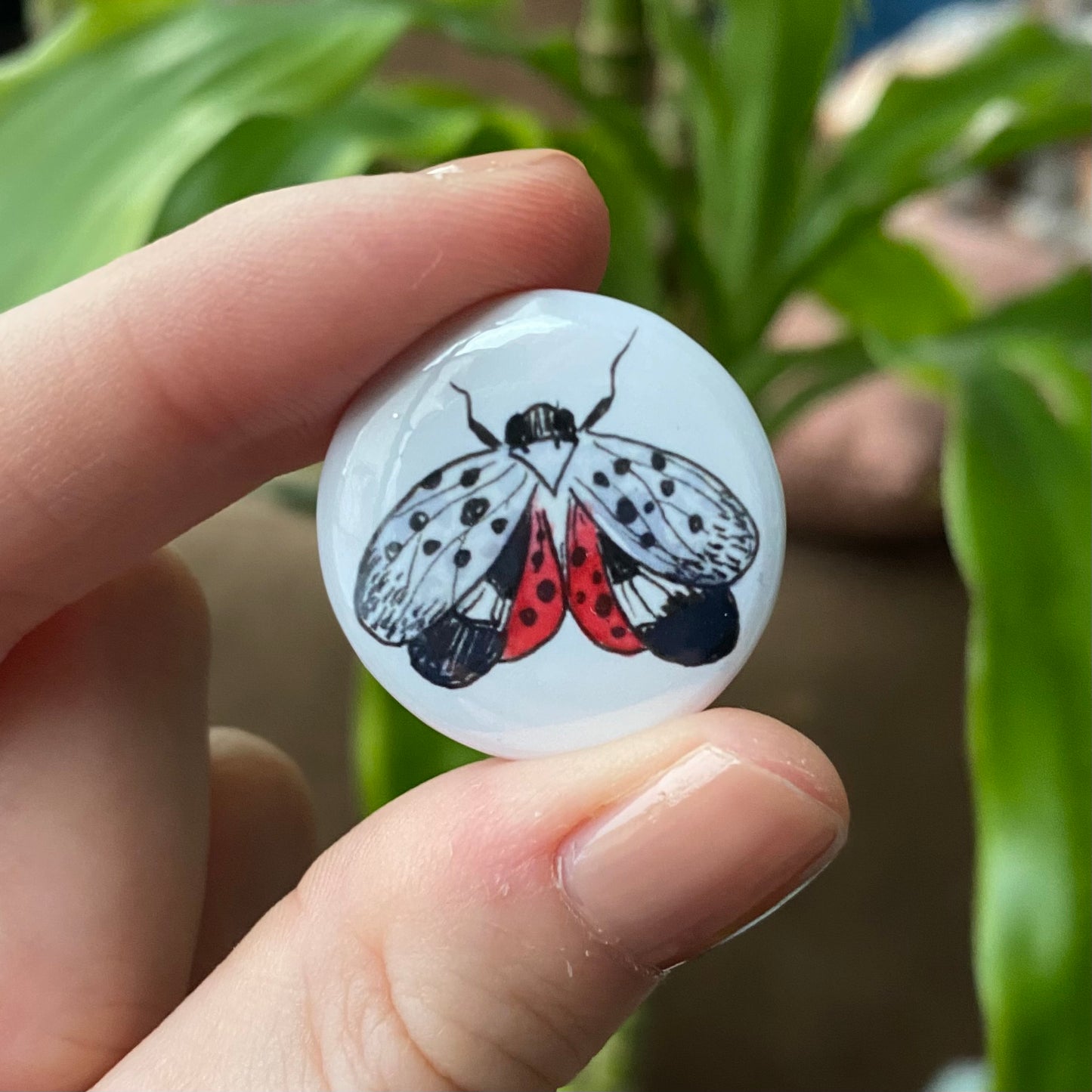 Lantern fly button