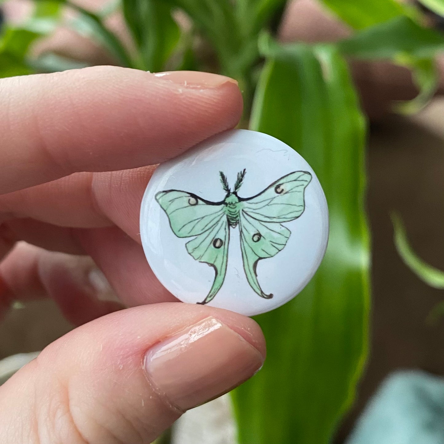 Luna moth button