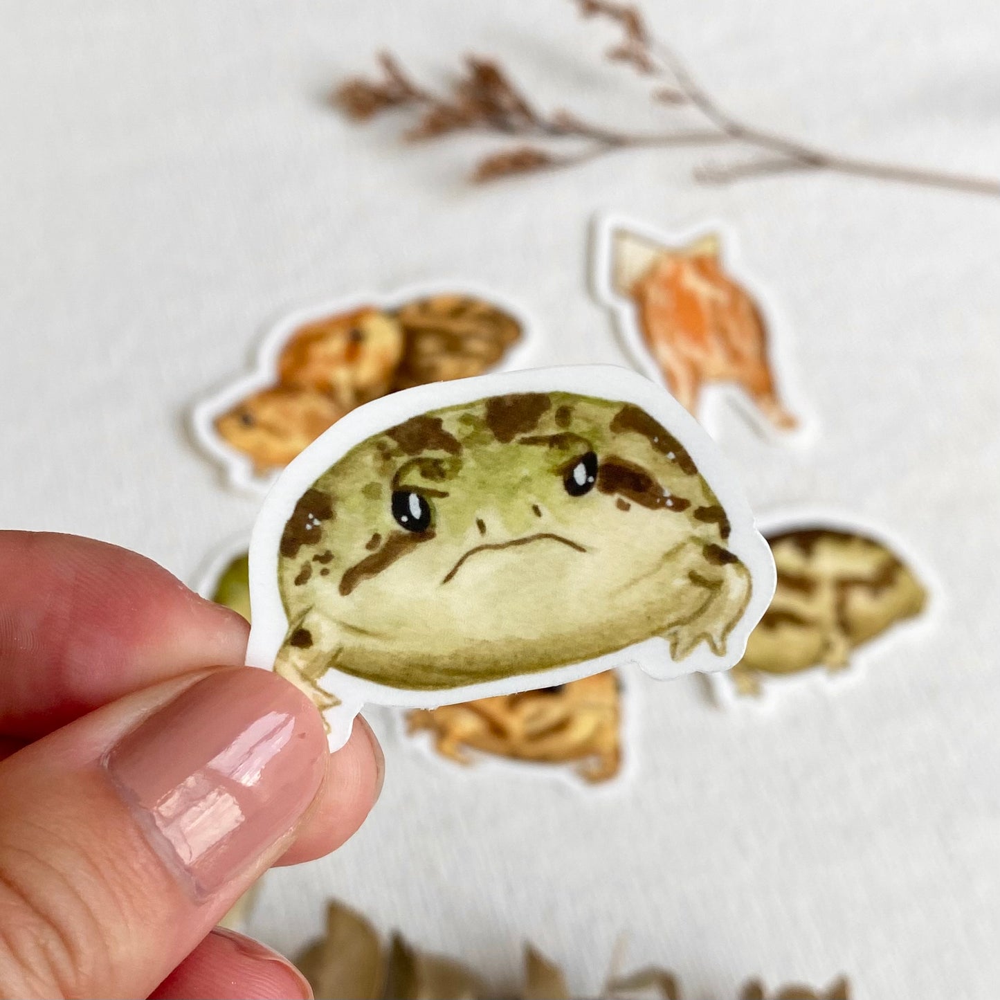 Rain frogs set 6pc, glossy stickers