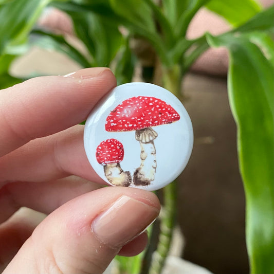 Fly agaric button