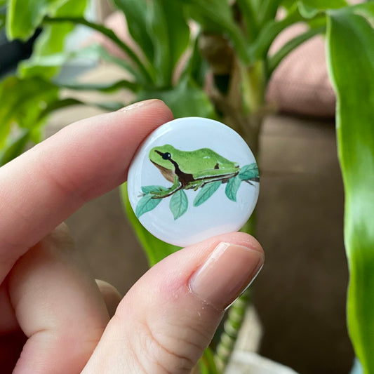 European Tree frog button
