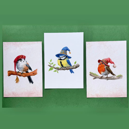 The birds postcards - Set of 3