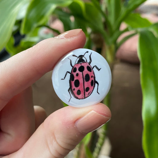 Ladybug button