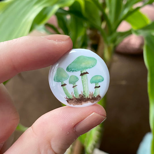 Blue-green stropharia button