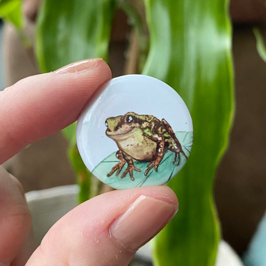 Common frog button