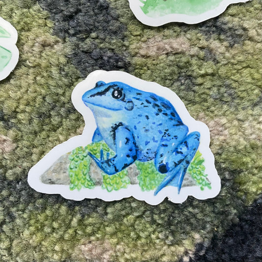 Moor frog sticker