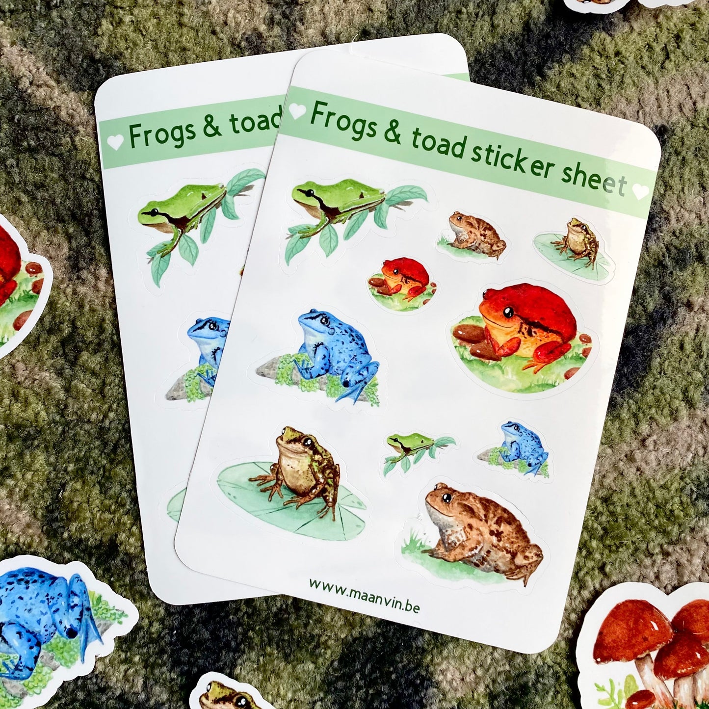 Frogs & toad sticker sheet