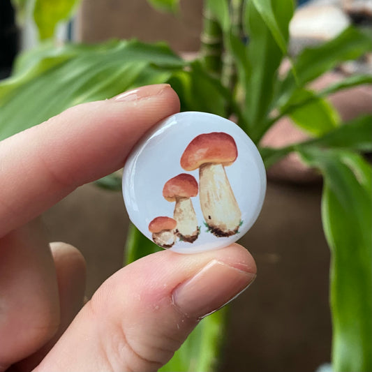 Cep mushroom button