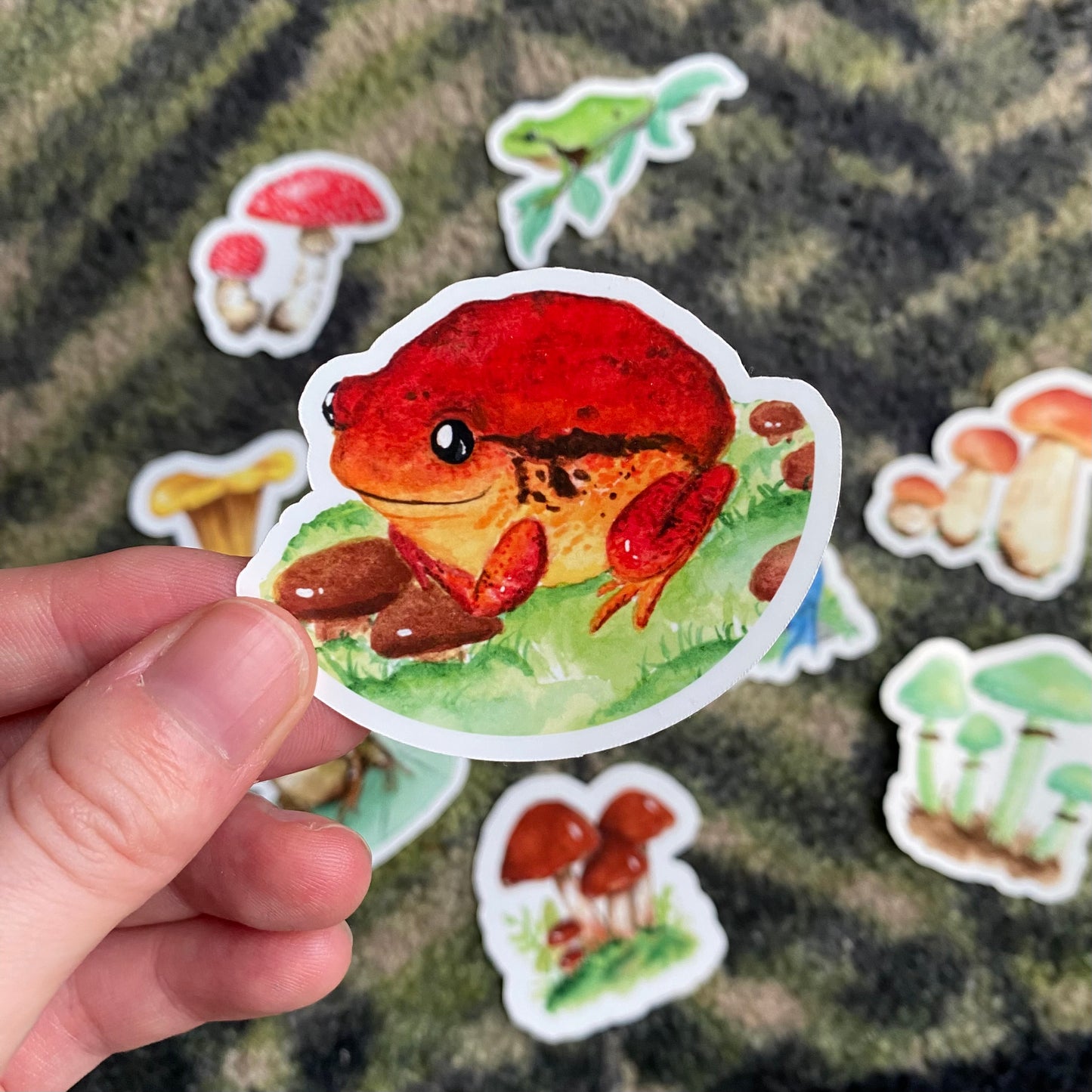 Tomato frog sticker