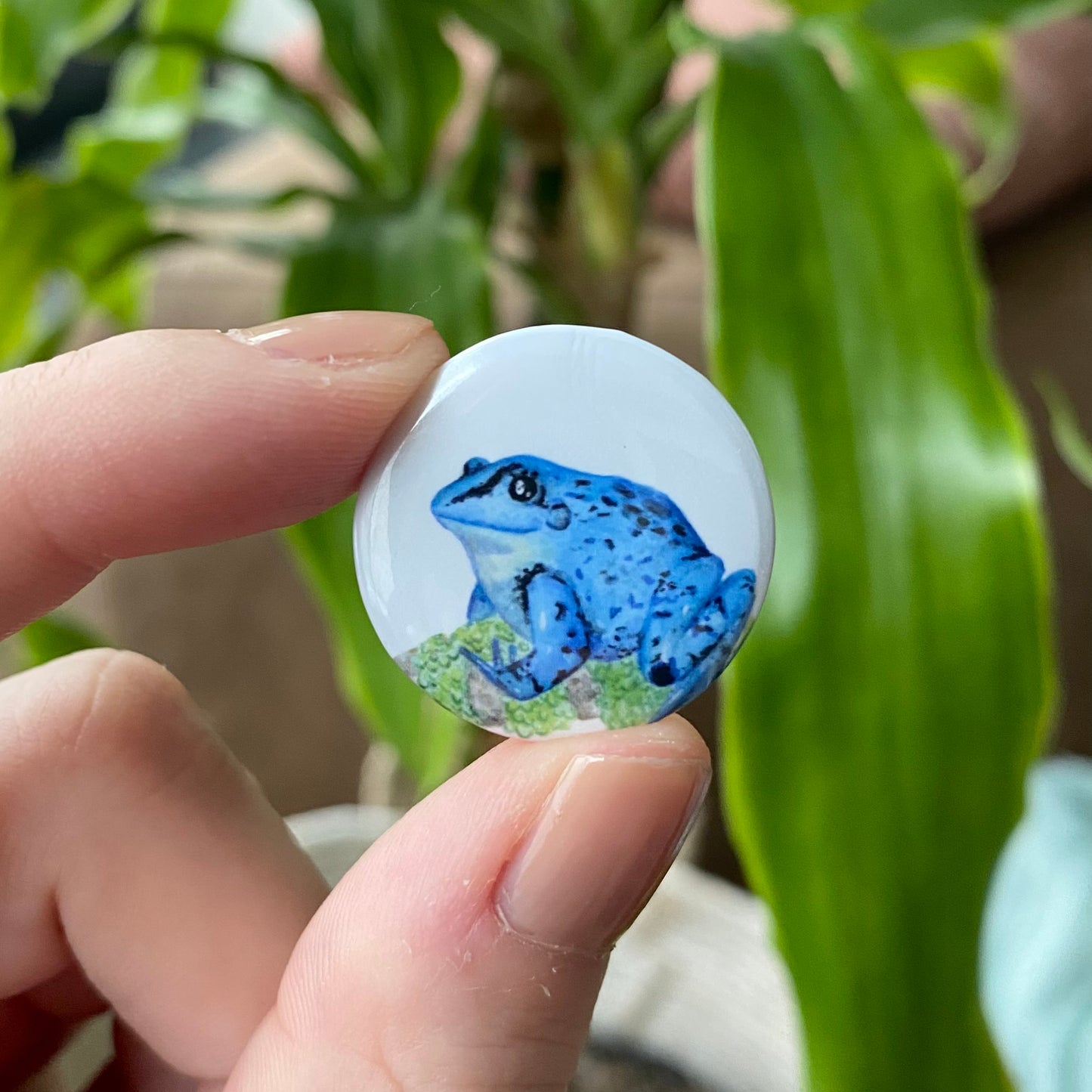 Moor frog button